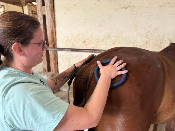 WhatsApp Image 2025-06-23 at 04.23.47(1)